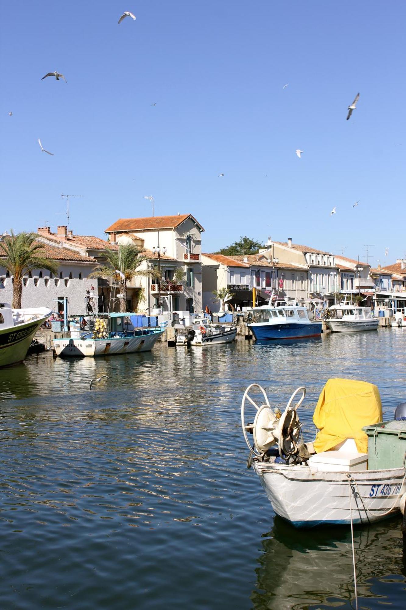 Hotel Restaurant Splendid Camargue Le Grau-du-Roi Zewnętrze zdjęcie